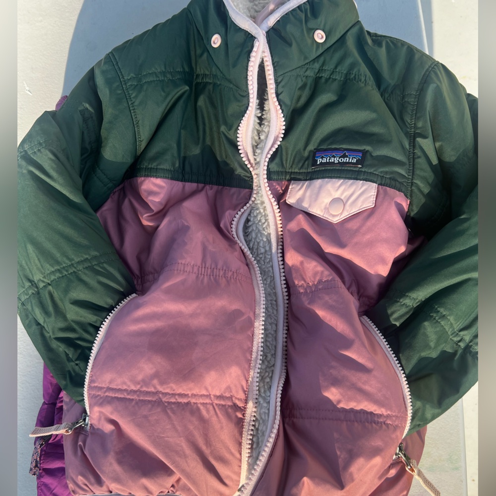 Patagonia Reversible Tribbles Hoodie